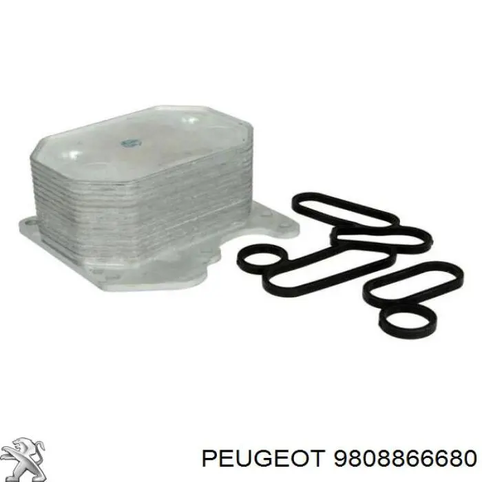 Do koszyka 9808866680 Peugeot/Citroen Obudowa filtra oleju