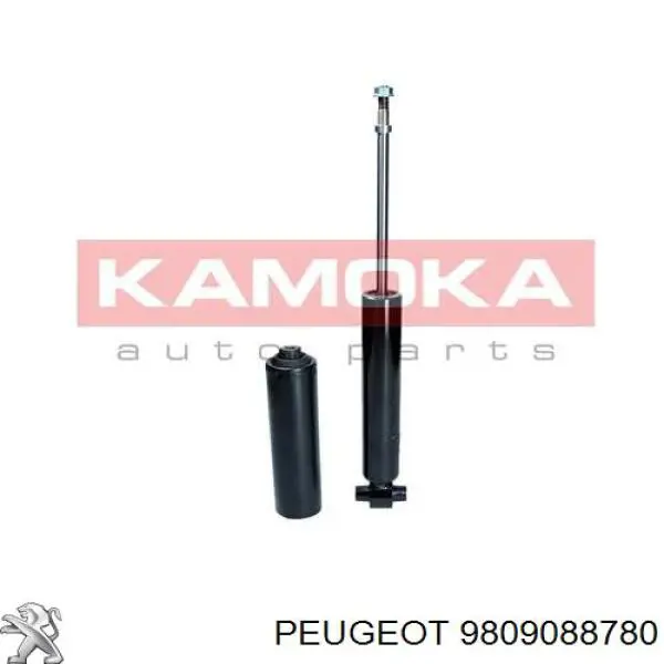 Amortyzator tylny Raiso RS316937