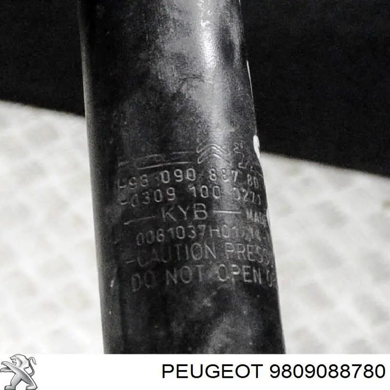 Amortyzator tylny Peugeot/Citroen 9809088780