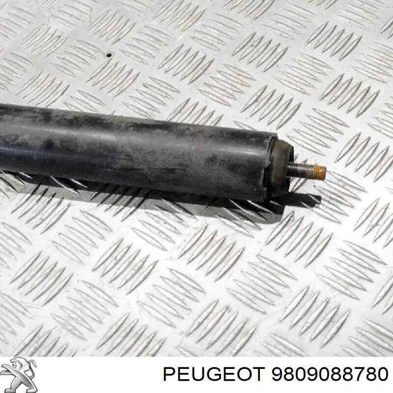 Amortyzator tylny 9809088780 Peugeot/Citroen