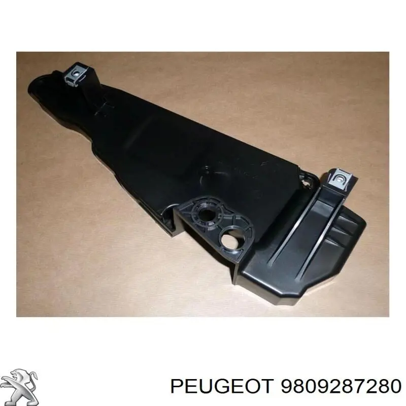Do koszyka 9809287280 Peugeot/Citroen 