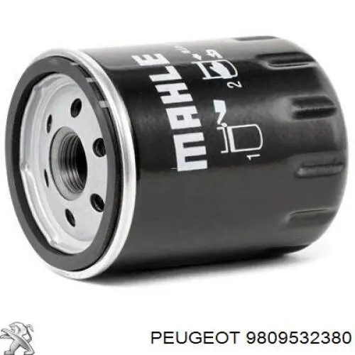 Do koszyka 9809532380 Peugeot/Citroen Filtr oleju
