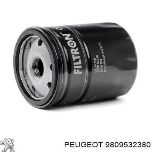 9809532380 Peugeot/Citroen Filtr oleju