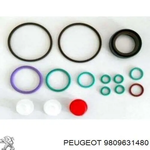 Pompa wtryskowa wysokiego ciśnienia Peugeot/Citroen 9809631480