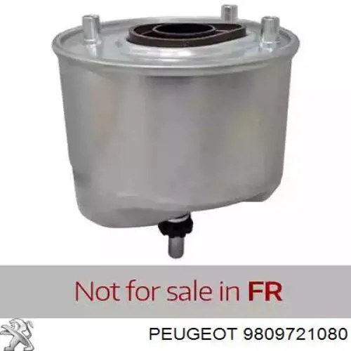 Do koszyka 9809721080 Peugeot/Citroen Filtr paliwa