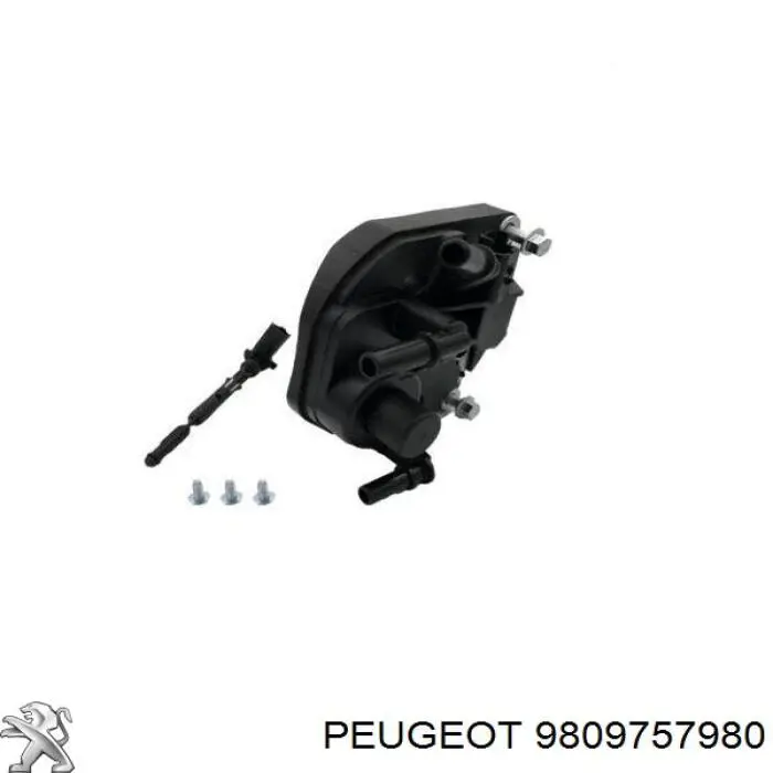 Do koszyka 9809757980 Peugeot/Citroen Obudowa filtra paliwa
