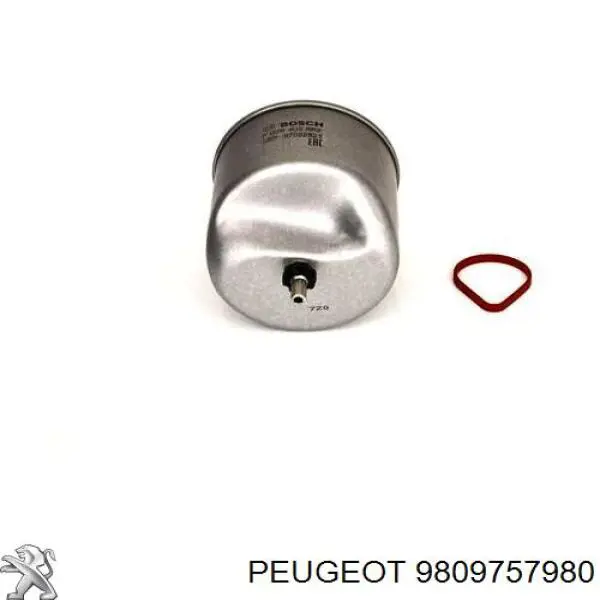 Do koszyka 9809757980 Peugeot/Citroen Obudowa filtra paliwa