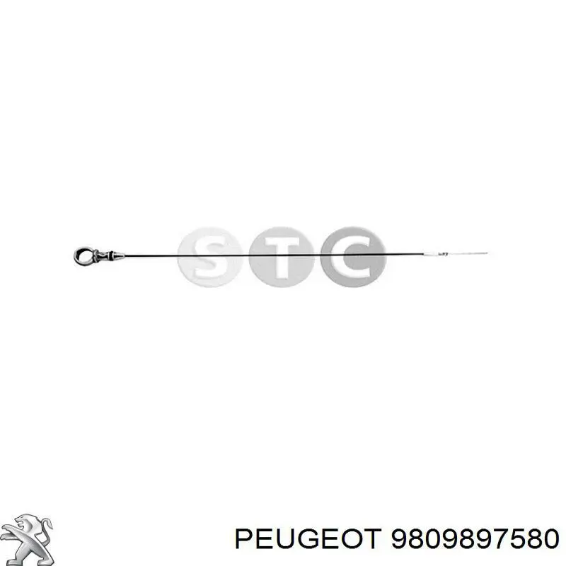 Do koszyka 9809897580 Peugeot/Citroen Bagnet poziomu oleju w silniku