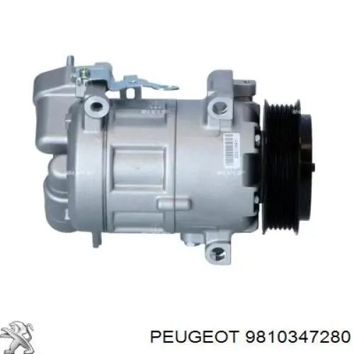 Sprężarka klimatyzacji Peugeot/Citroen 9810347280 cena, od 365,43 USD