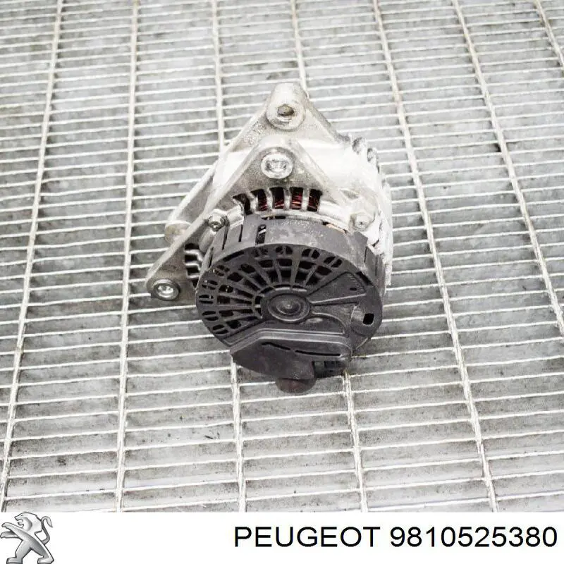 9810525380 Peugeot/Citroen alternator