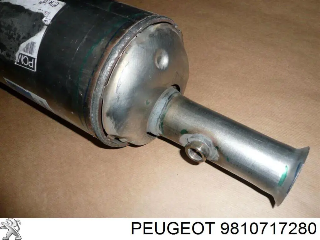 9810717180 Peugeot/Citroen 