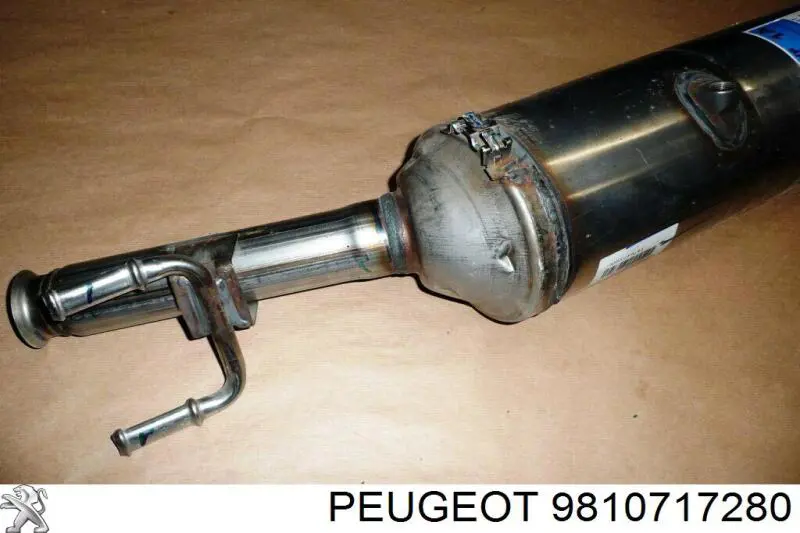 Do koszyka 9810717180 Peugeot/Citroen 