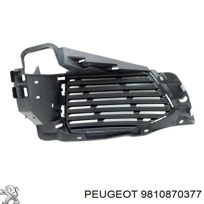 9810870377 Peugeot/Citroen 
