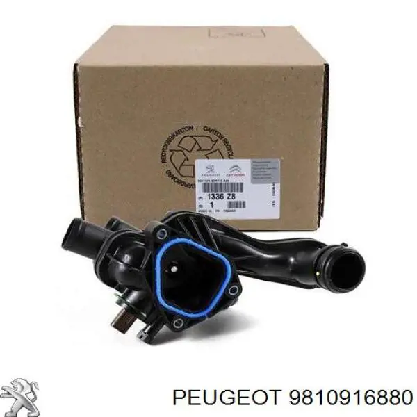 Do koszyka 9810916880 Peugeot/Citroen Obudowa termostatu
