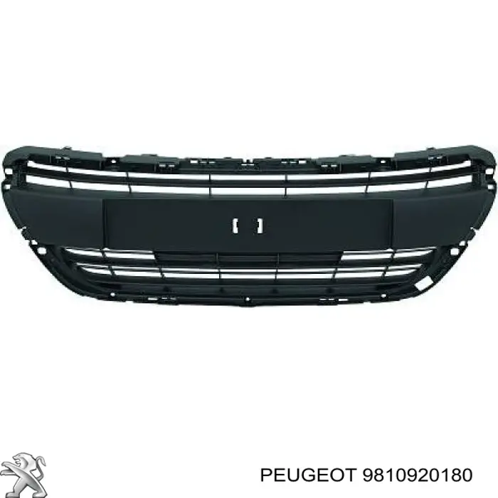 9810920180 Peugeot/Citroen Atrapa chłodnicy