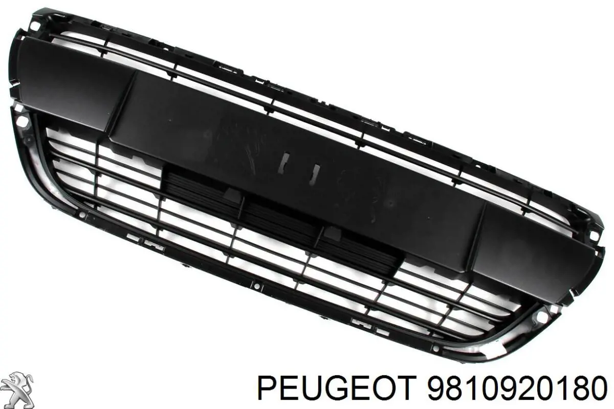 Atrapa chłodnicy Peugeot/Citroen 9810920180 cena, od 32,07 USD