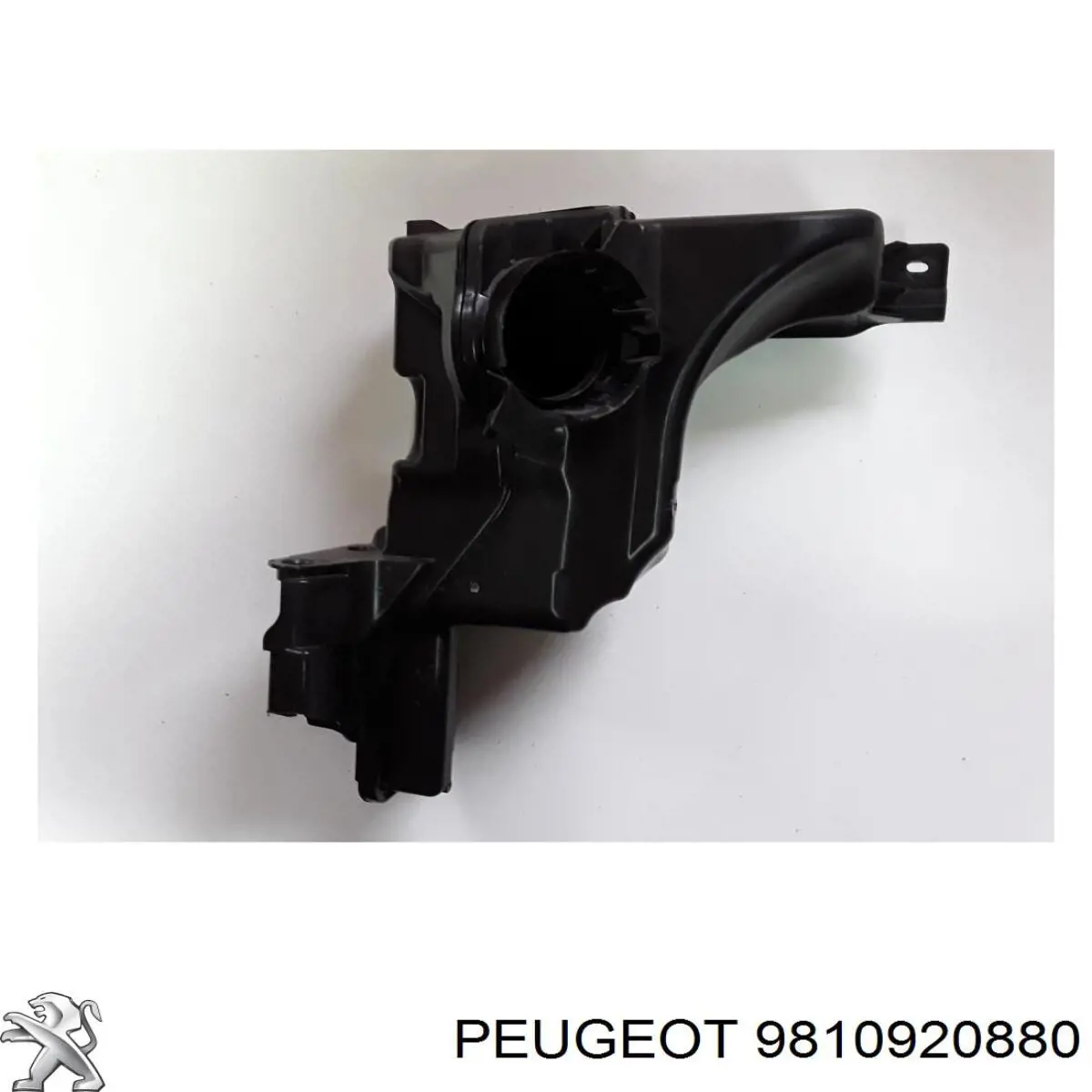 9810920880 Peugeot/Citroen Rezonator filtra powietrza