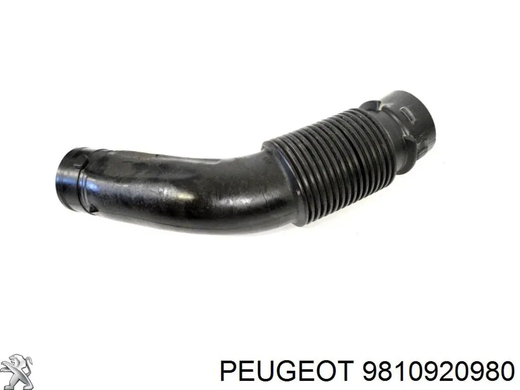 9810920980 Peugeot/Citroen króciec powietrza, wlot filtra powietrznego