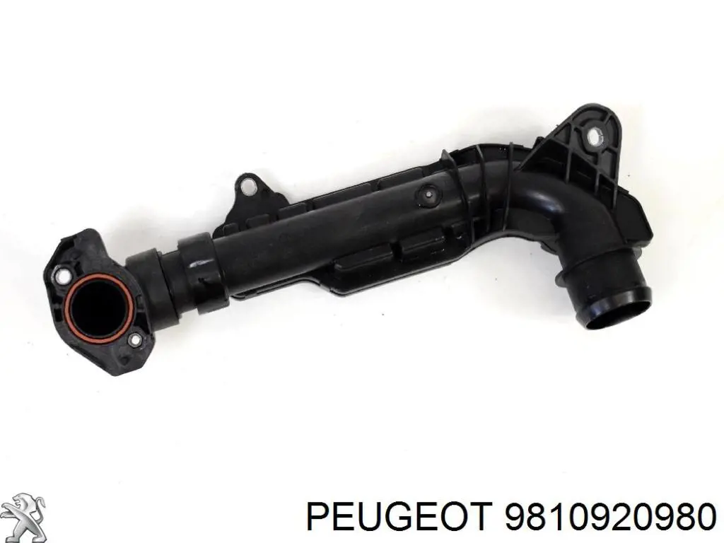 Króciec powietrza, wlot filtra powietrznego Peugeot/Citroen 9810920980 cena, od 54,48 USD