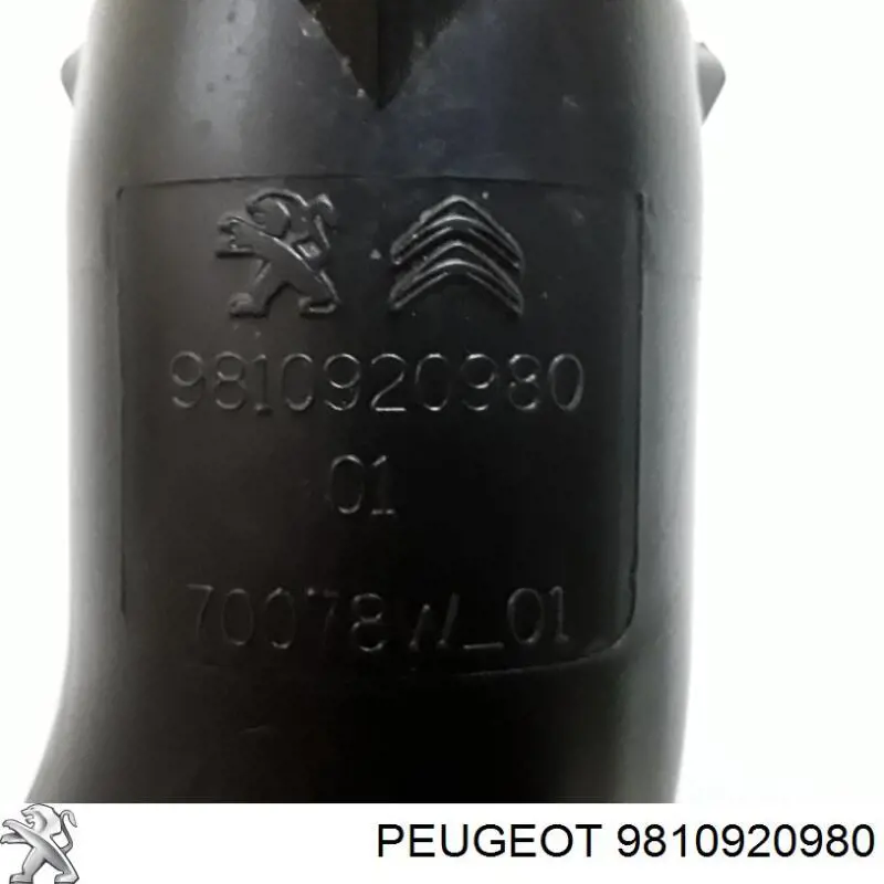 Do koszyka 9810920980 Peugeot/Citroen Króciec powietrza, wlot filtra powietrznego