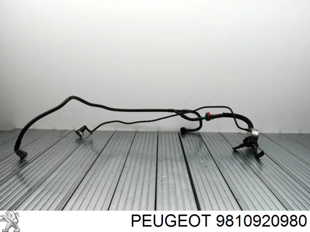 9810920980 Peugeot/Citroen Króciec powietrza, wlot filtra powietrznego