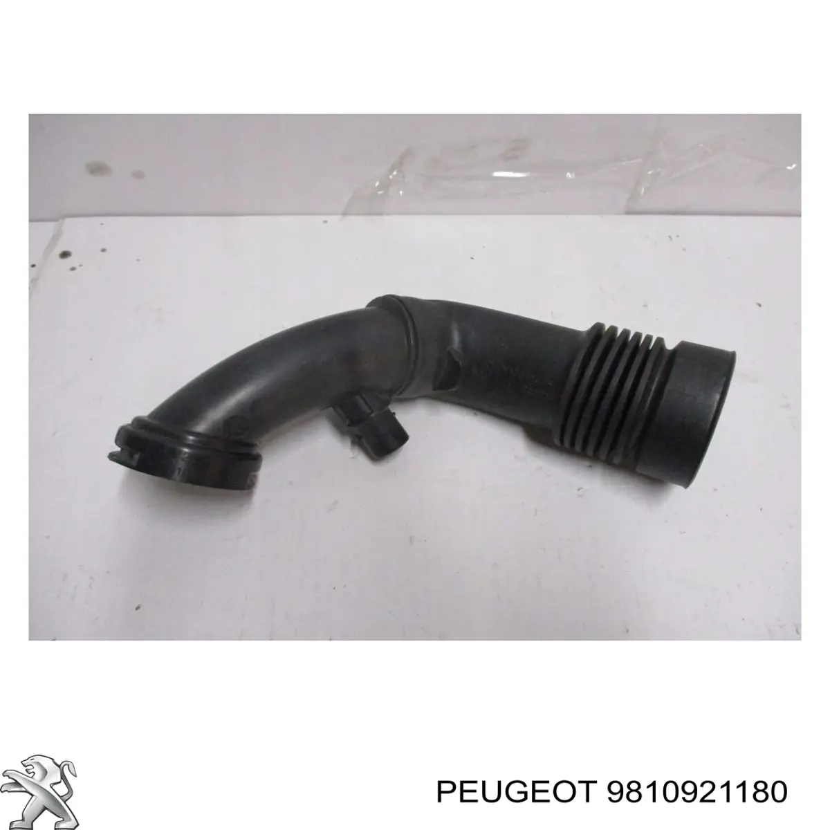 Do koszyka 9810921180 Peugeot/Citroen Króciec powietrza, wylot filtra powietrznego