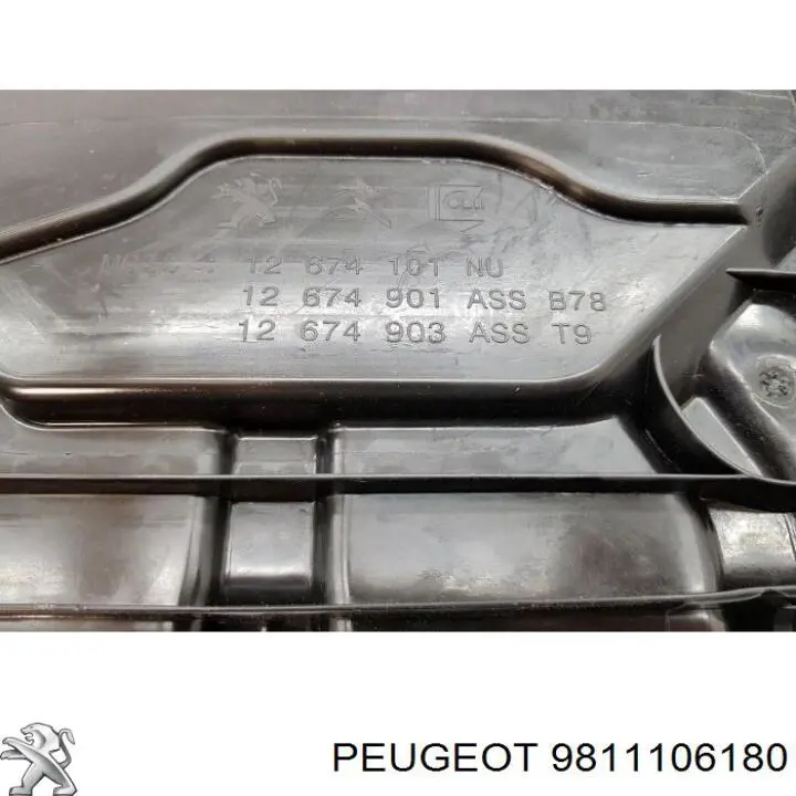 Do koszyka 9811106180 Peugeot/Citroen Zbiornik AD BLUE