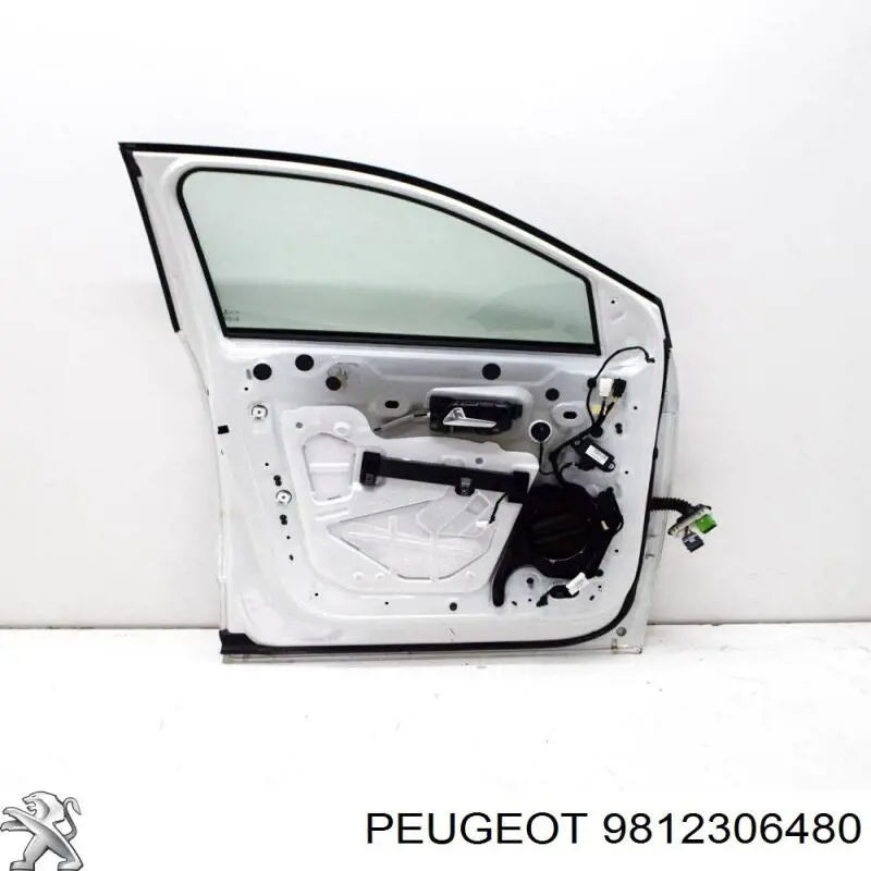 9812306480 Peugeot/Citroen Drzwi przednie lewe