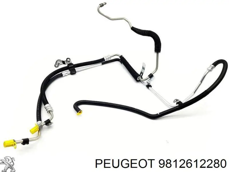 Pompa wspomagania hydraulicznego kierownicy 9812612280 Peugeot/Citroen