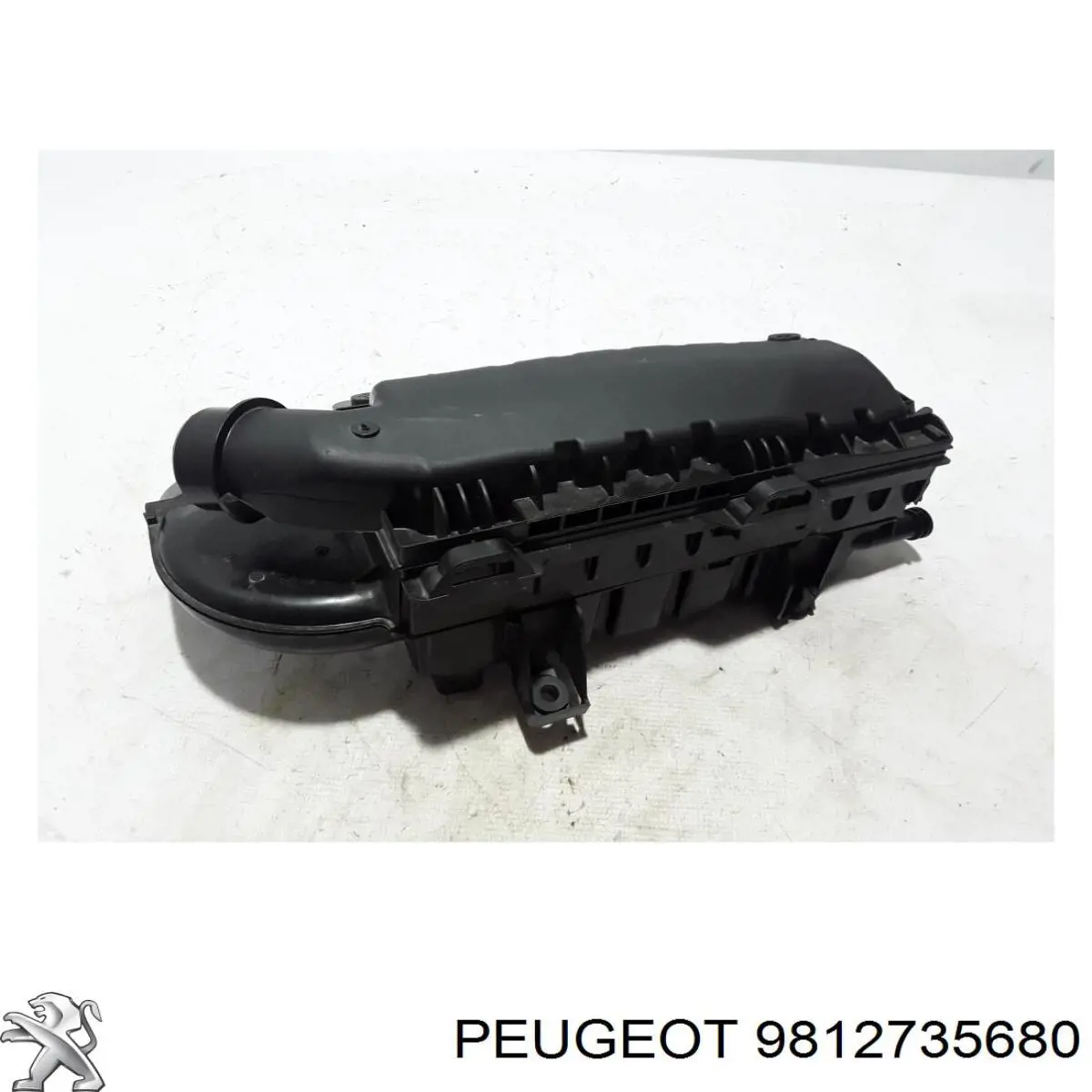 9812735680 Opel Obudowa filtra powietrza
