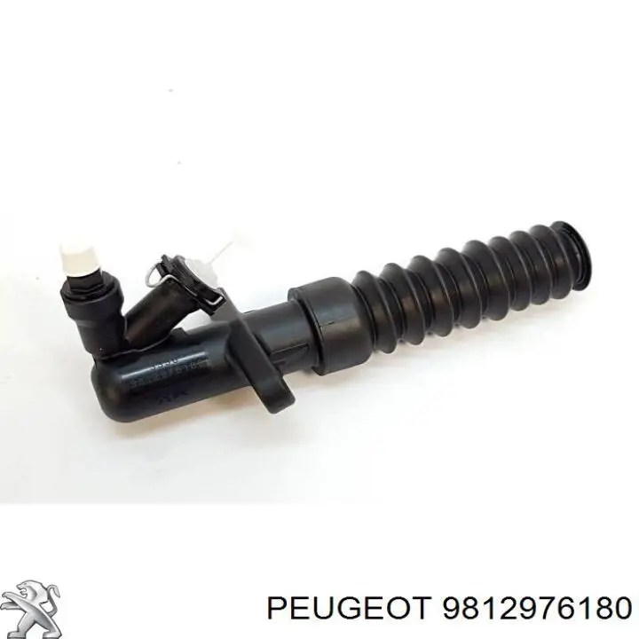 9812976180 Peugeot/Citroen 