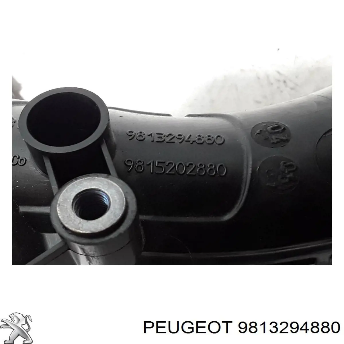 Króciec powietrza, przepustnicy Peugeot/Citroen 9813294880 cena, od 36,42 USD