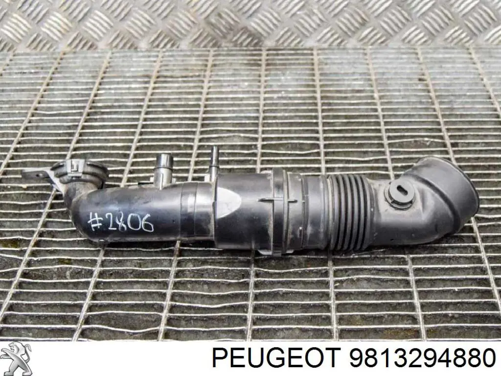 Króciec powietrza, przepustnicy Peugeot/Citroen 9813294880 cena, od 37,46 USD