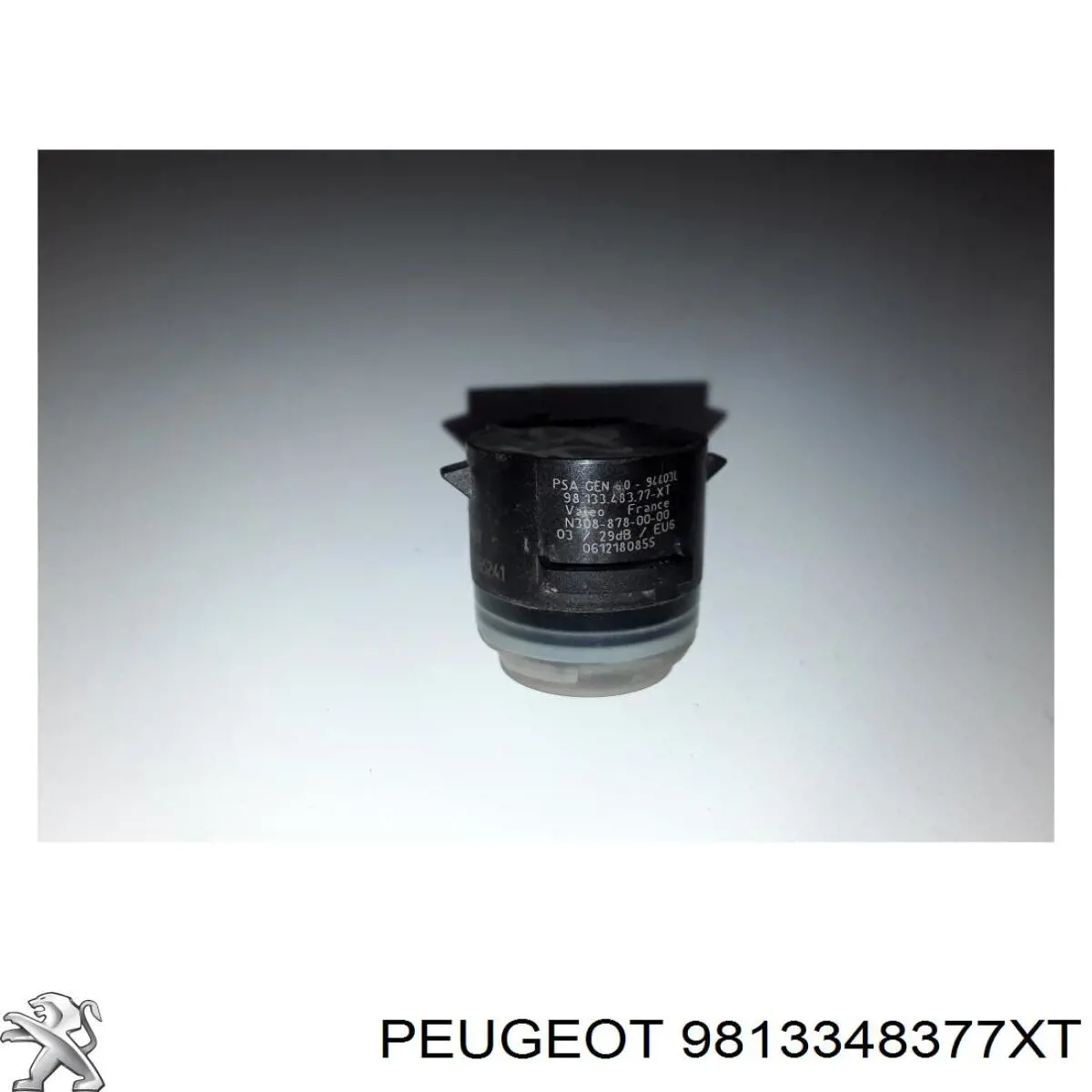9813348377XT Peugeot/Citroen 