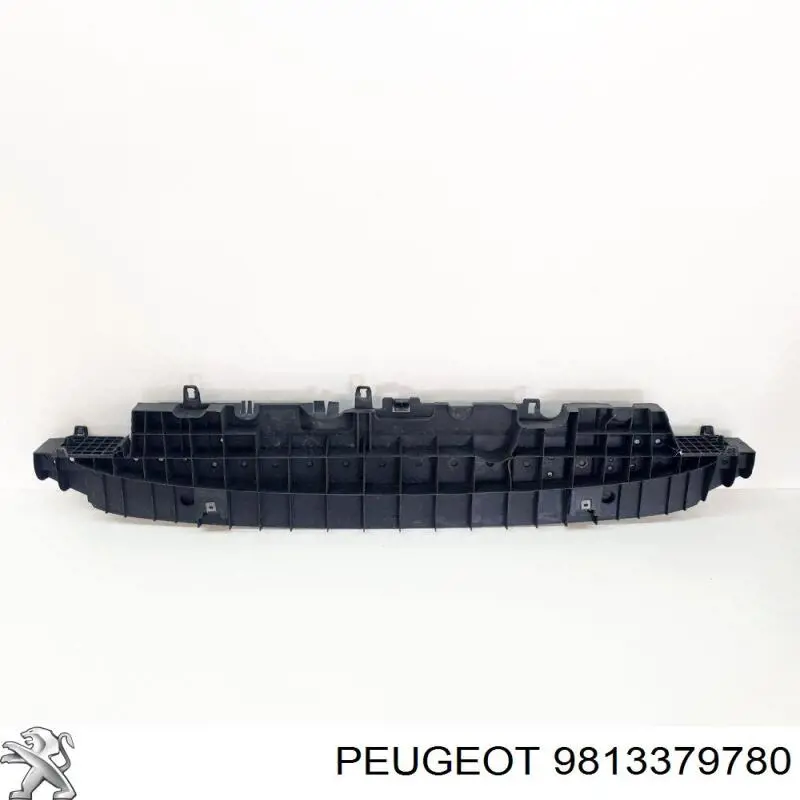 9813379780 Peugeot/Citroen 