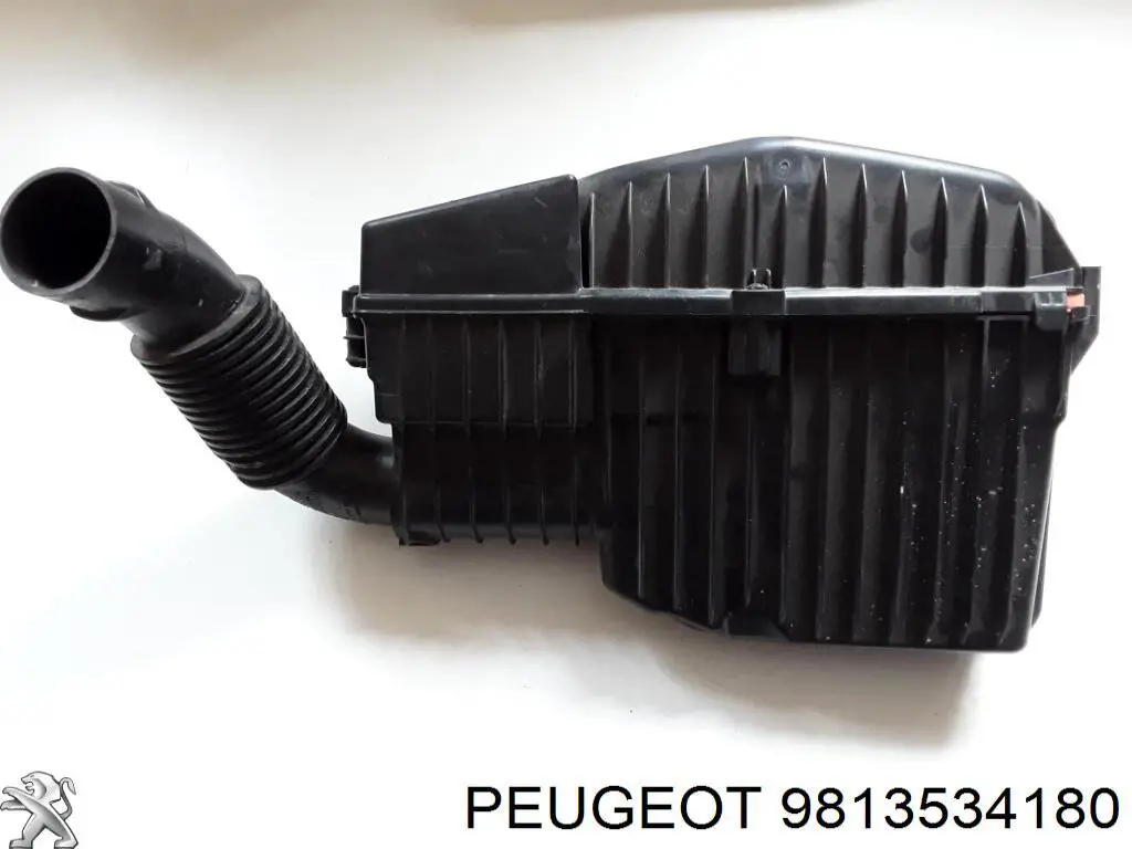 9817014180 Peugeot/Citroen 