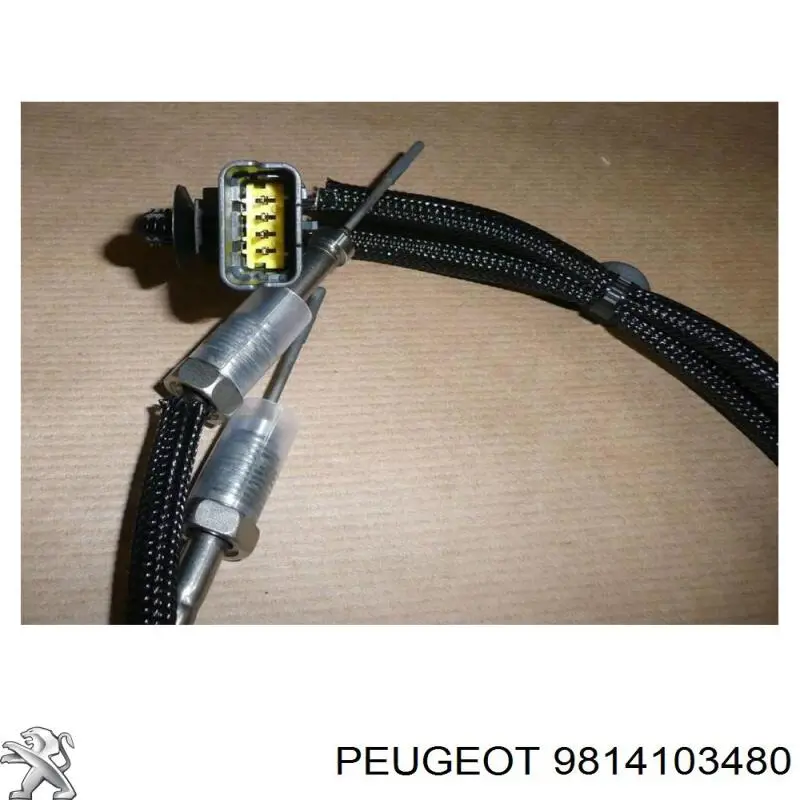 Czujnik temperatury spalin, przed filtrem cząstek stałych Peugeot/Citroen 9814103480