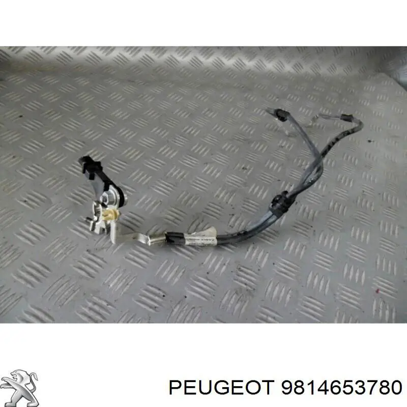 9814653780 Peugeot/Citroen 