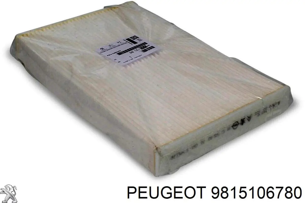 Do koszyka 9815106780 Peugeot/Citroen Filtr kabiny