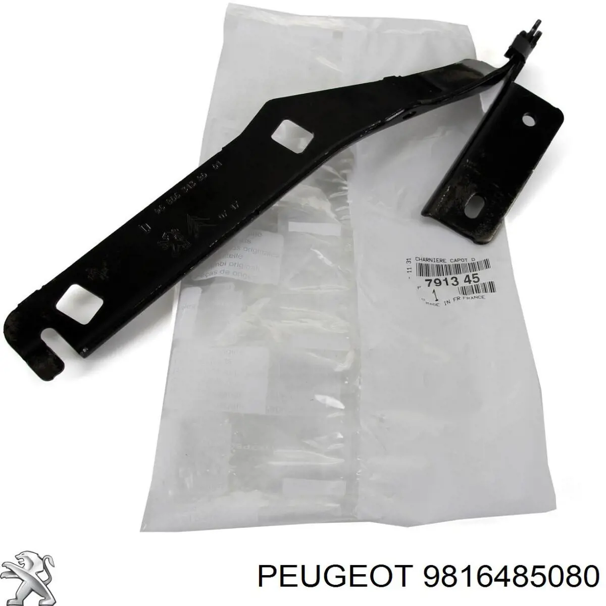 9816485080 Peugeot/Citroen Zawias maski lewy