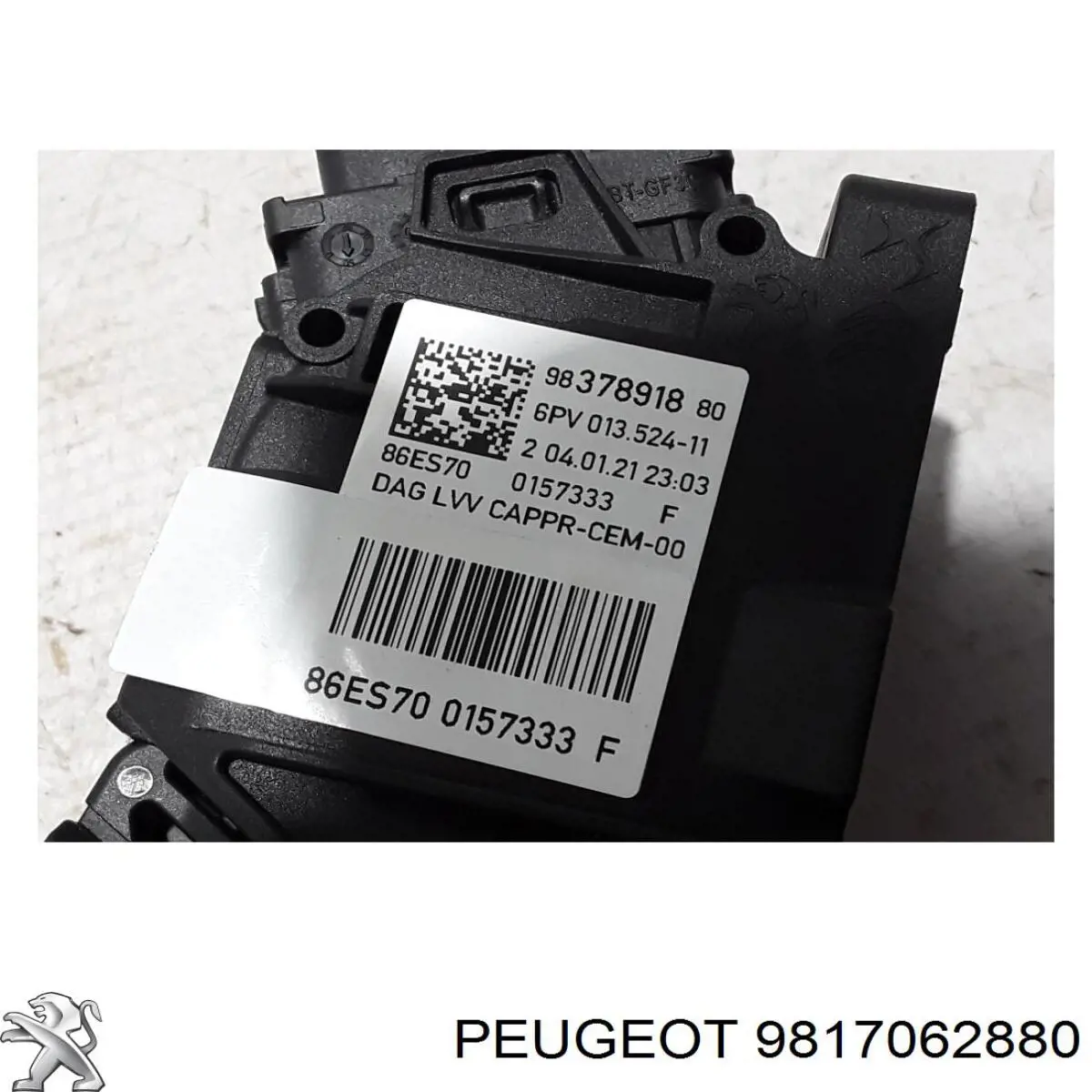 9817062880 Peugeot/Citroen 