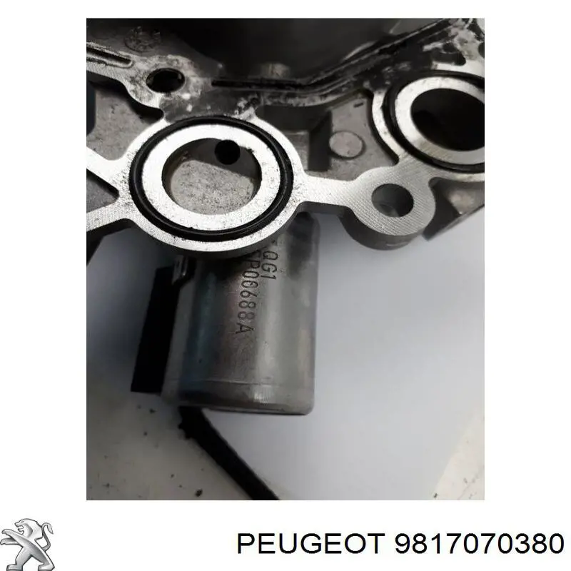 Zawór regulacji ciśnienia oleju Peugeot/Citroen 9817070380 cena, od 138,47 USD