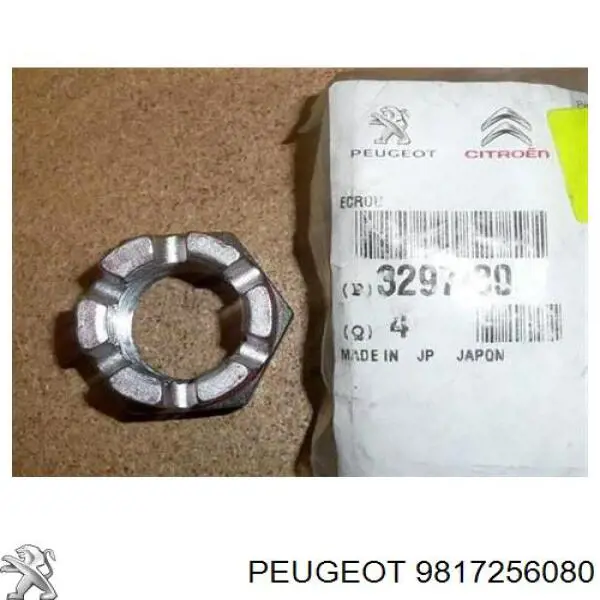 Filtr paliwa 9817256080 Peugeot/Citroen