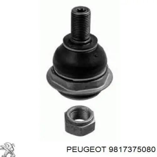 Sworzeń wahacza dolny Peugeot/Citroen 9817375080 cena, od 14,75 USD