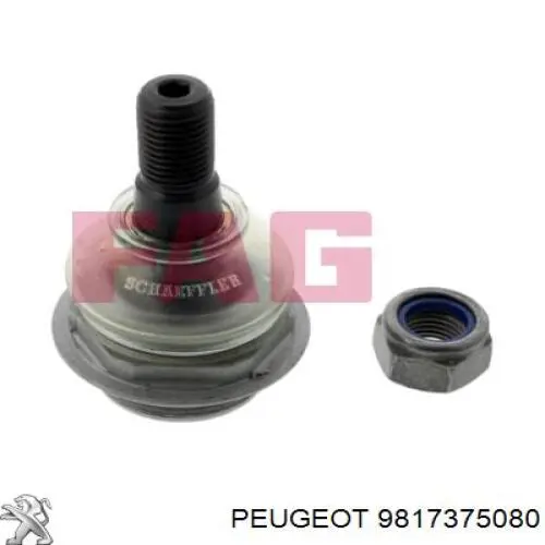 Do koszyka 9817375080 Peugeot/Citroen Sworzeń wahacza dolny