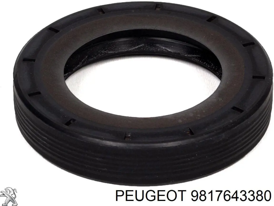 9817643380 Peugeot/Citroen Uszczelka pokrywy zaworowej silnika