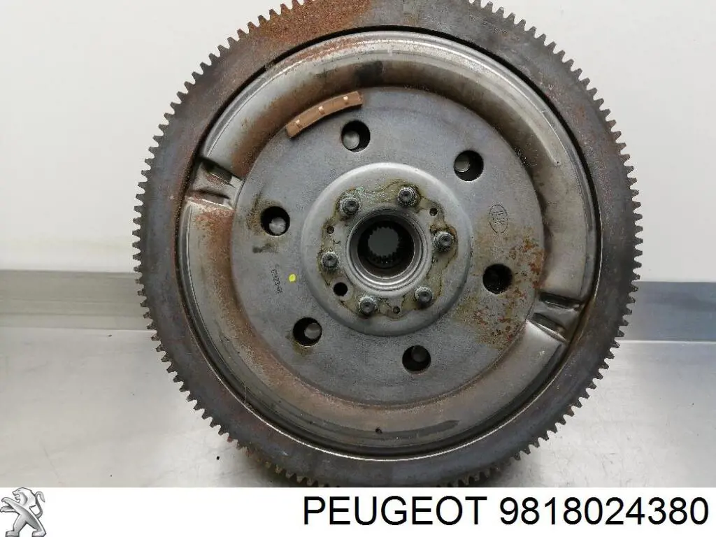 Koło zamachowe silnika Peugeot/Citroen 9818024380