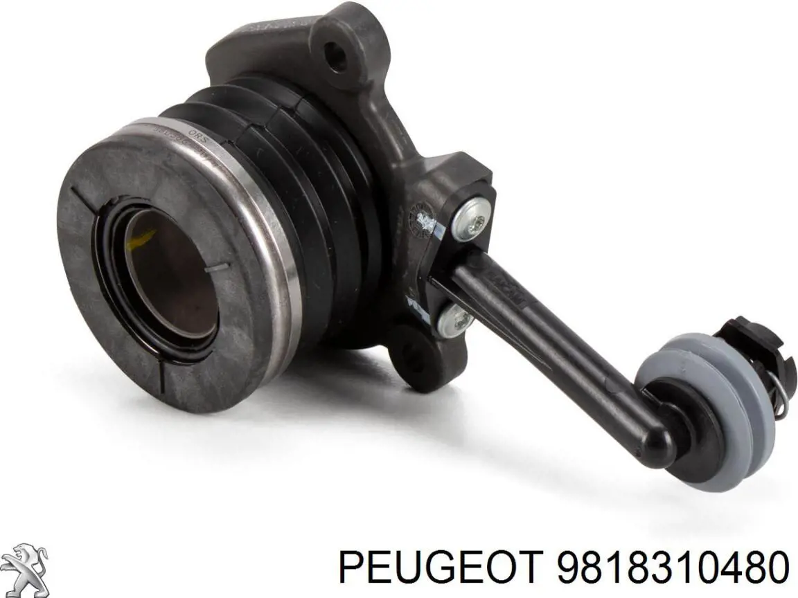  Peugeot/Citroen 9818310480