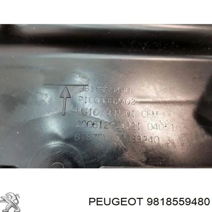 Zbiornik AD BLUE 9818559480 Peugeot/Citroen