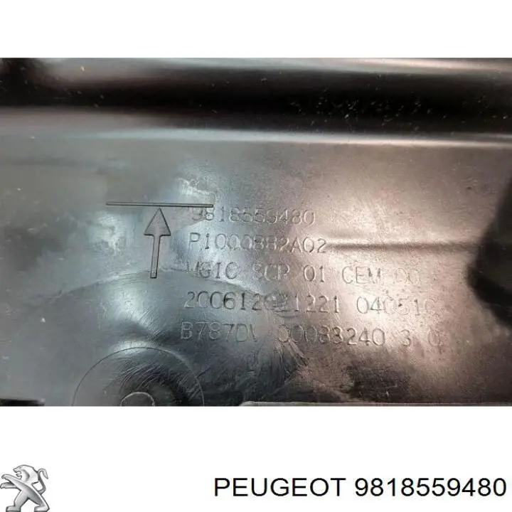 Zbiornik AD BLUE Peugeot/Citroen 9818559480 cena, od 532,90 USD